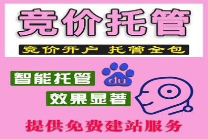 百度推广案例：从零到一的蜕变之路